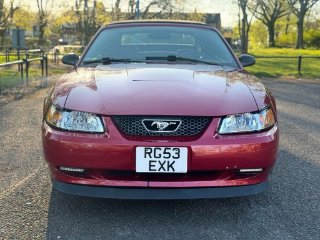 /photos/11012/19e21435-c743-3123-d908-75a9f4e8a256_i320x240.jpg